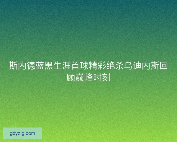斯内德蓝黑生涯首球精彩绝杀乌迪内斯回顾巅峰时刻 斯内德蓝黑生涯首球精彩绝杀乌迪内斯回顾巅峰时刻